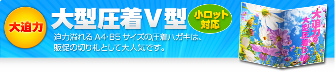 大型圧着DM V型