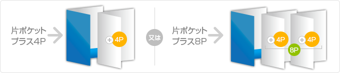 4P+8P